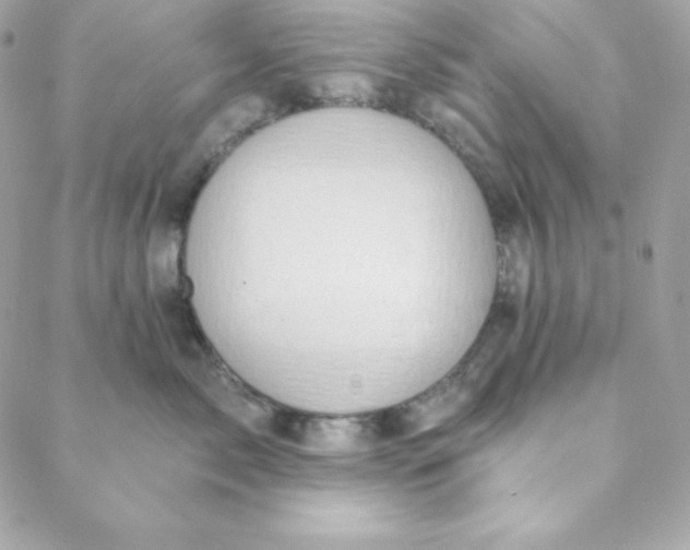 X0000088610717200706151827