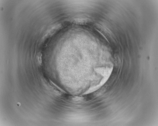 X0000088610718200706151827