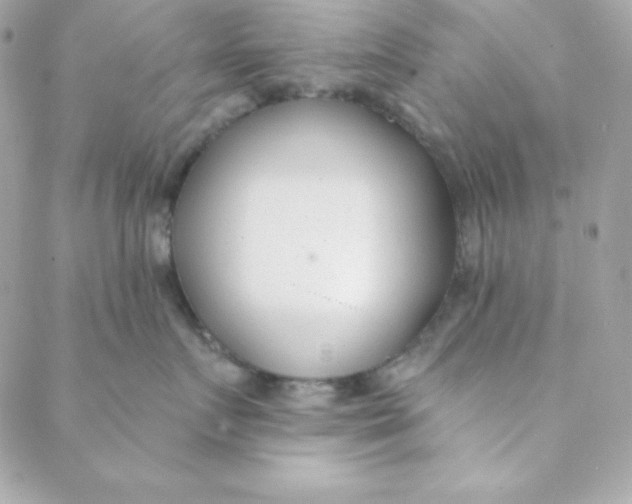 X0000088610719200706151827