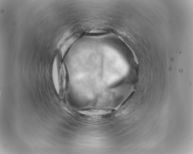 X0000088610720200706151827