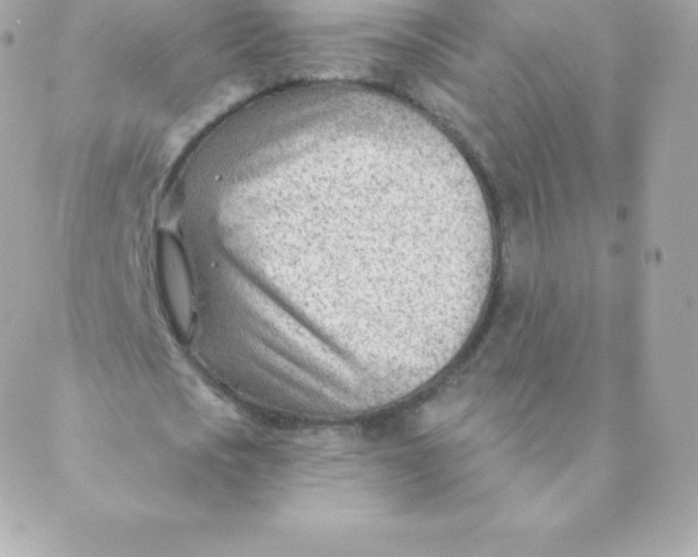 X0000088610721200706151826