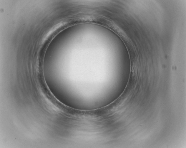 X0000088610722200706151826