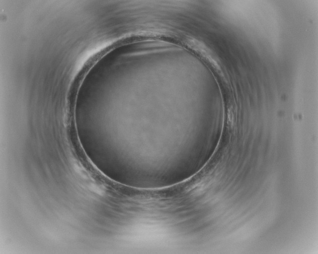 X0000088610724200706151826