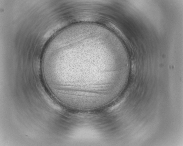 X0000088610725200706151826