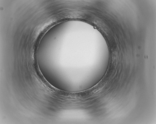 X0000088610727200706151826