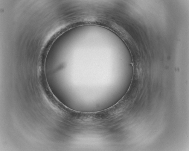 X0000088610728200706151826