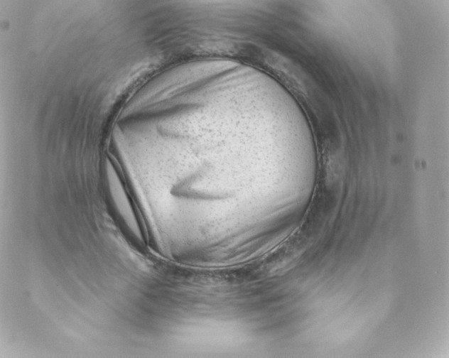 X0000088610729200706151826