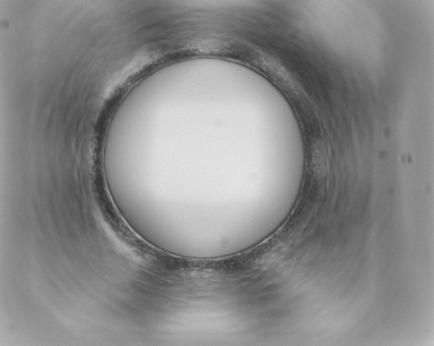 X0000088610730200706151826