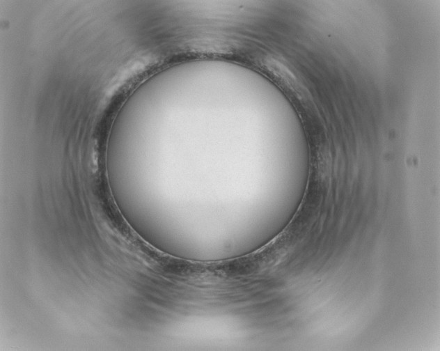 X0000088610731200706151826