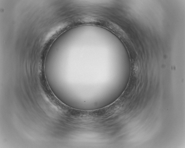 X0000088610732200706151826