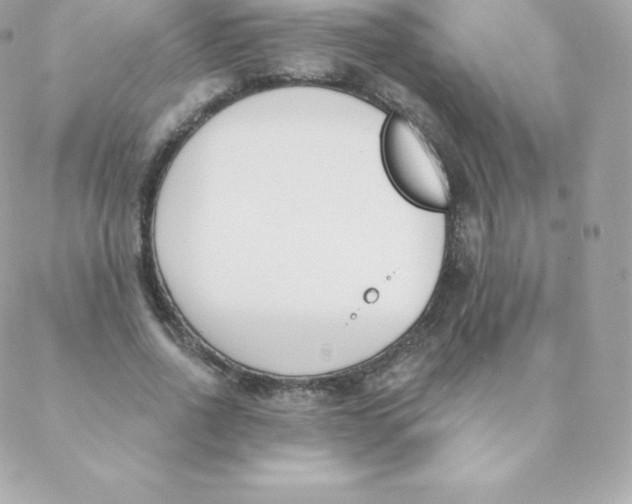 X0000088610734200706151826