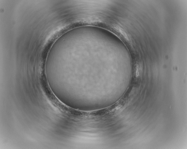 X0000088610736200706151826