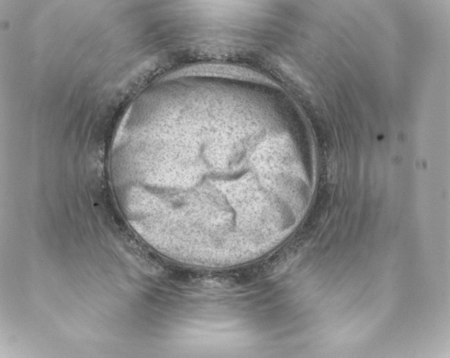 X0000088610737200706151826