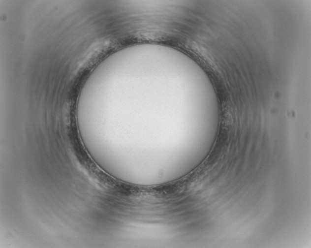 X0000088610738200706151826