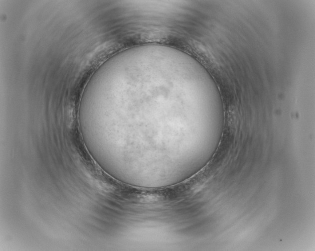 X0000088610741200706151826