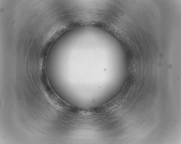 X0000088610742200706151826