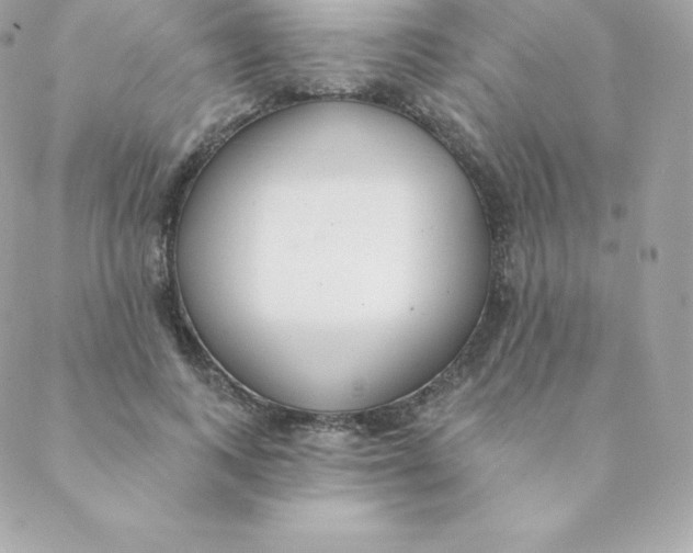 X0000088610743200706151826