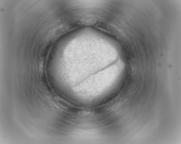 X0000088610745200706151826