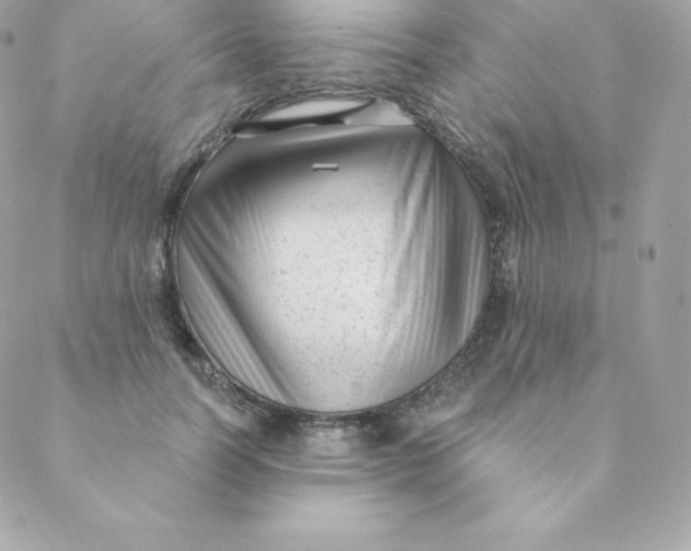 X0000088610746200706151826