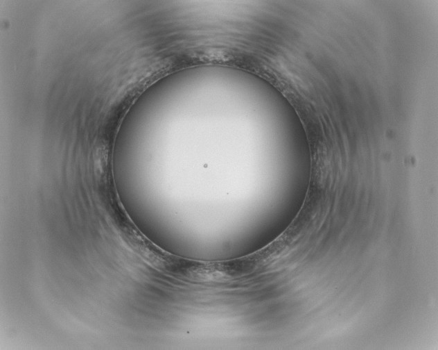 X0000088610747200706151826