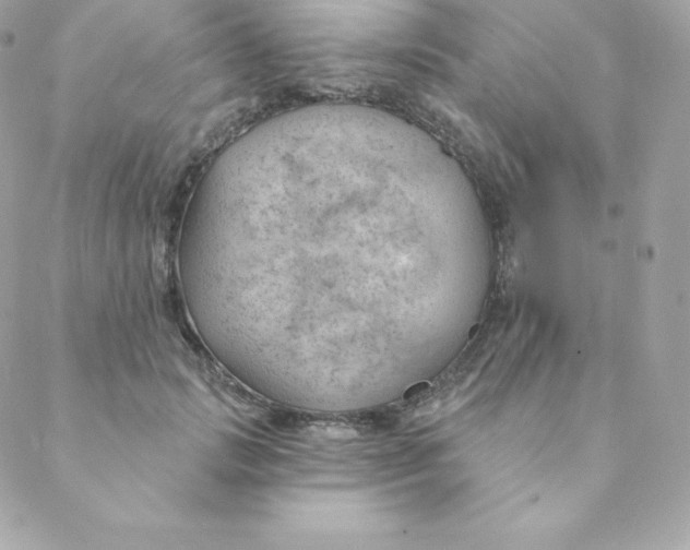 X0000088610749200706151826