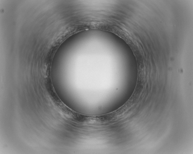 X0000088610750200706151826