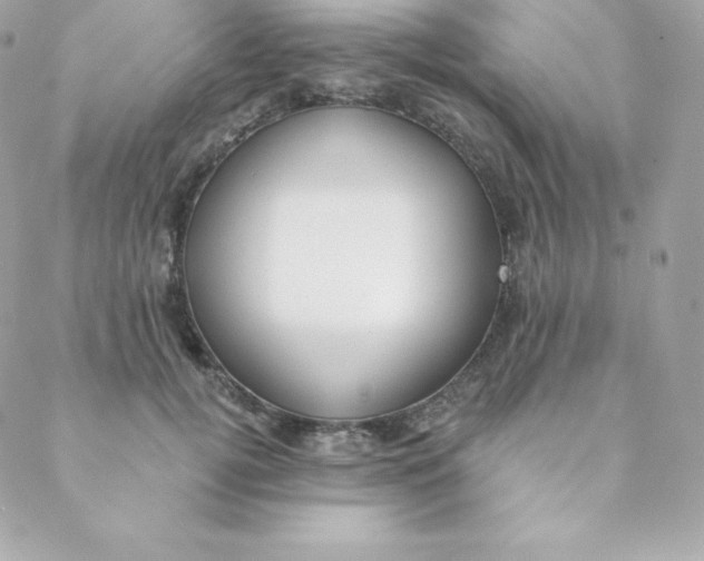 X0000088610752200706151826