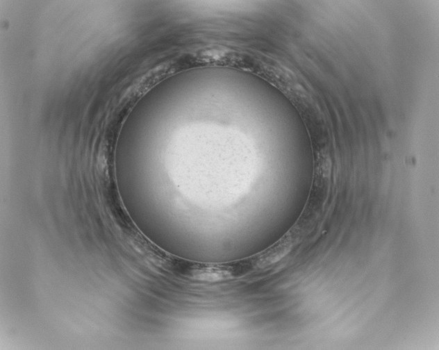 X0000088610754200706151826