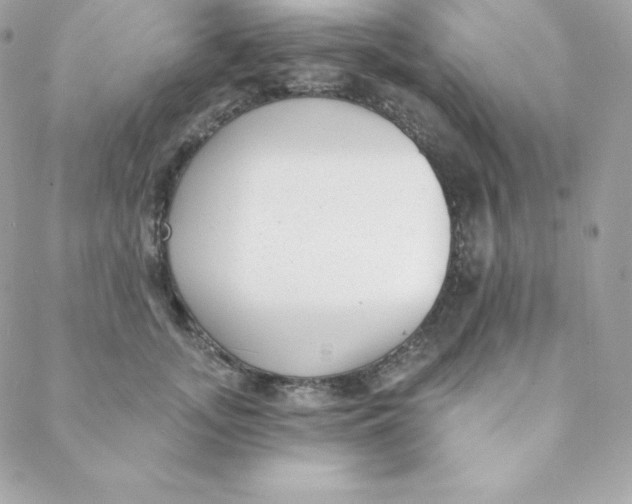 X0000088610755200706151826