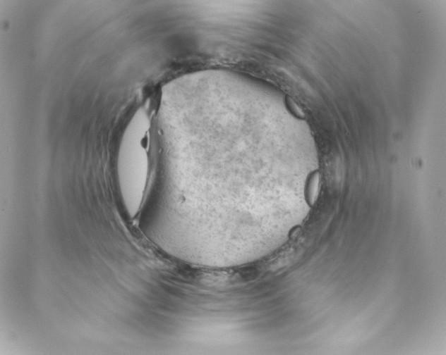 X0000088610757200706151826