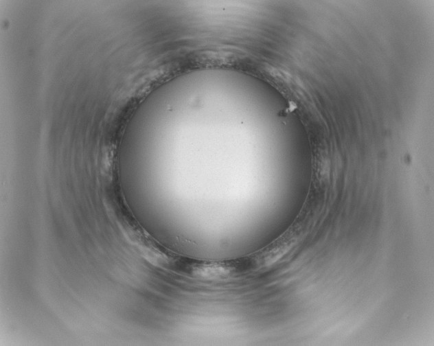 X0000088610759200706151826