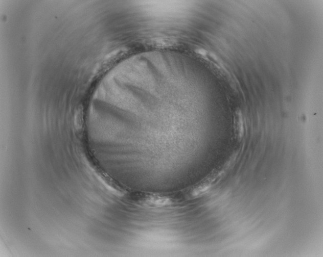 X0000088610760200706151826