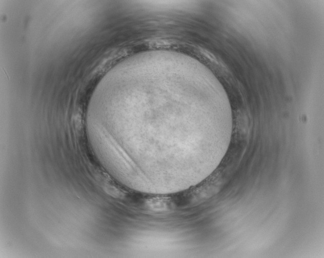 X0000088610761200706151827