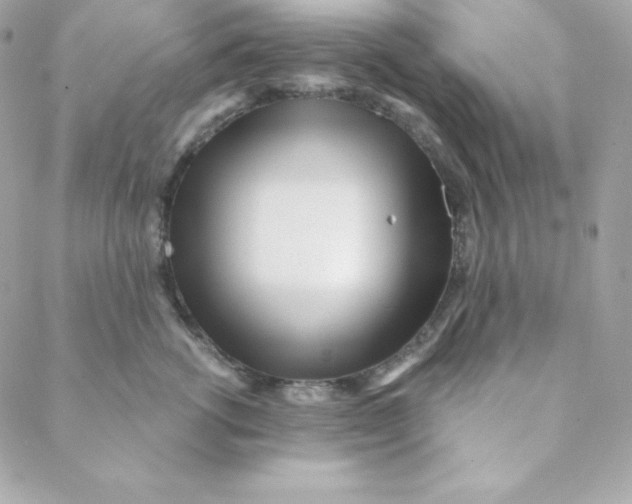 X0000088610762200706151827