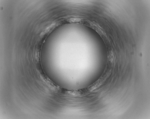 X0000088610763200706151827