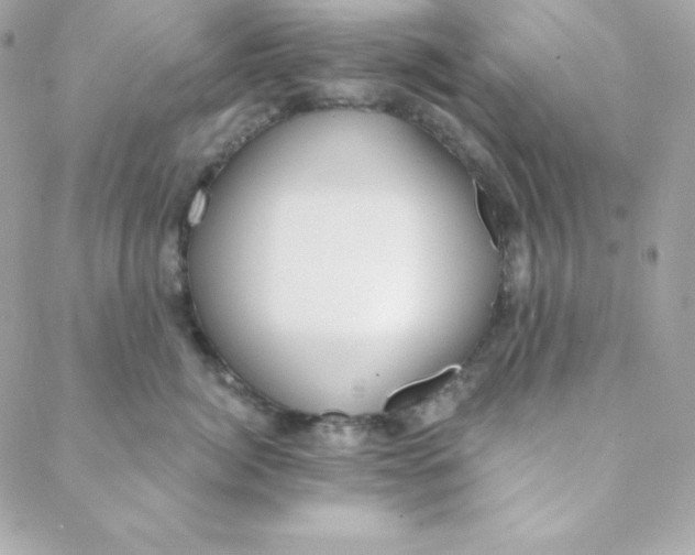 X0000088610764200706151827