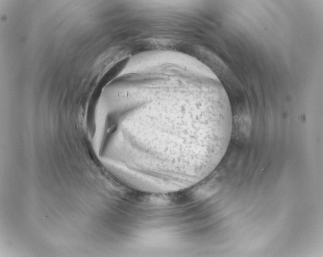 X0000088610765200706151827