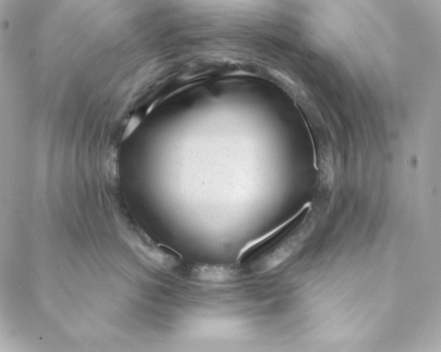 X0000088610766200706151827