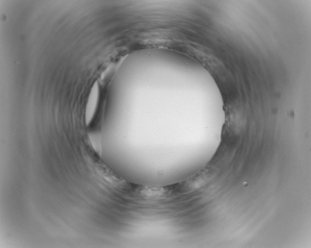 X0000088610767200706151827