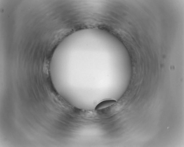 X0000088610768200706151827