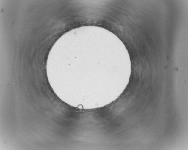 X0000088610769200706151826