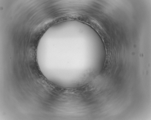 X0000088610773200706151826