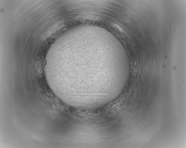 X0000088610774200706151826