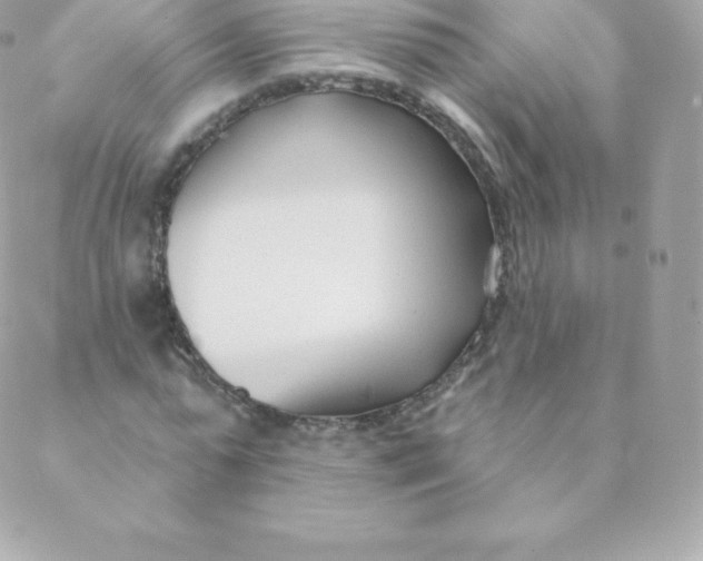 X0000088610775200706151826