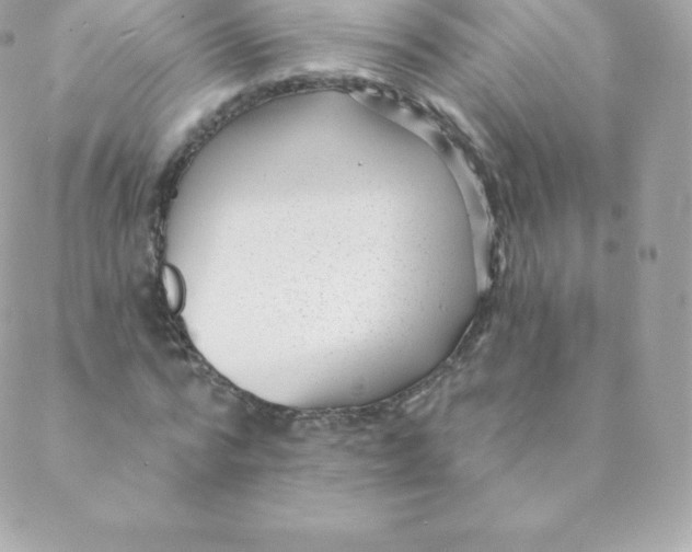 X0000088610776200706151826