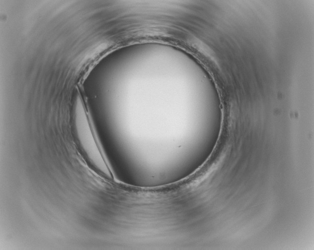 X0000088610777200706151826