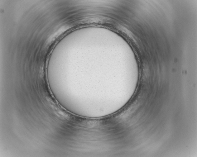 X0000088610778200706151826