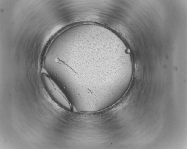 X0000088610780200706151826