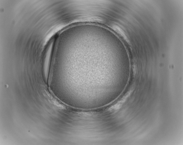 X0000088610781200706151826