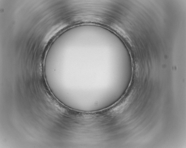 X0000088610782200706151826